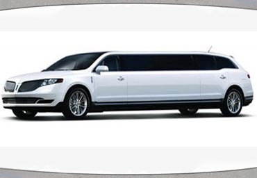10 pass limousine